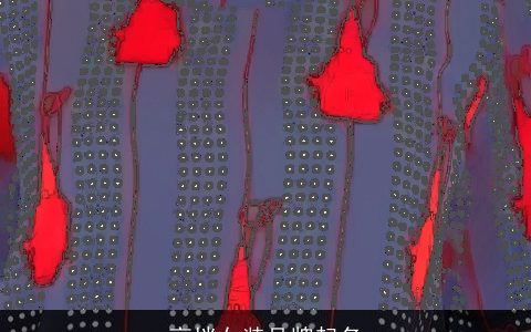 高档女装品牌起名