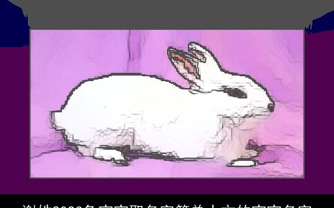 谢姓2024龙宝宝取名字简单大方的宝宝名字