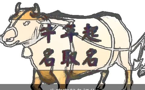 牛宝宝起名打分