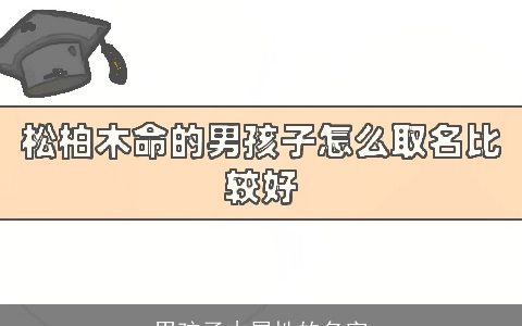 男孩子木属性的名字