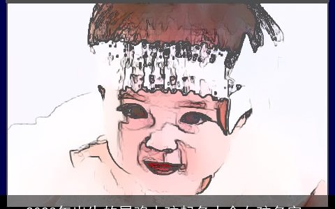 2023年出生的属鸡小孩起名大全女孩名字_