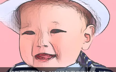 鼠年男宝宝起名 2024鼠年男宝宝起名大全