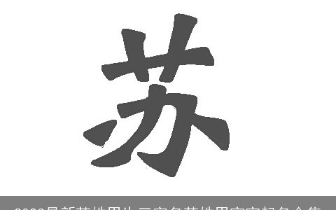 2023最新苏姓男生三字名苏姓男宝宝起名合集