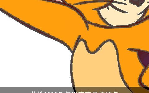 蔡姓2023兔年男宝宝最佳取名