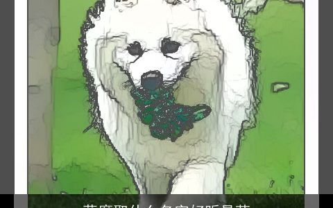 萨摩取什么名字好听最萌