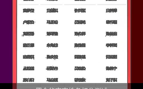 罗金华宝宝姓名打分测试