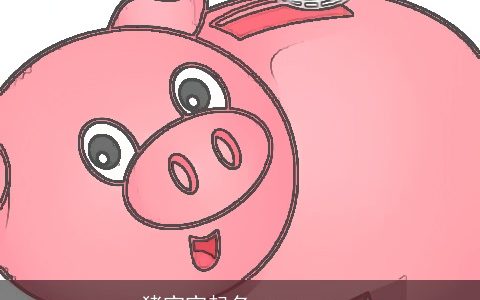 猪宝宝起名 so easy