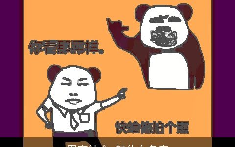 男宝缺金 起什么名字