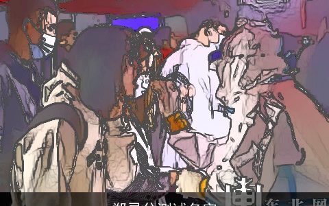 郑灵兮测试名字