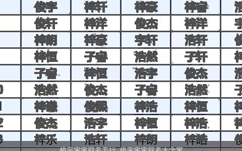 极字宝宝取名五行 极字宝宝取名大全寓意 2023有涵养寓意的宝宝名字大全