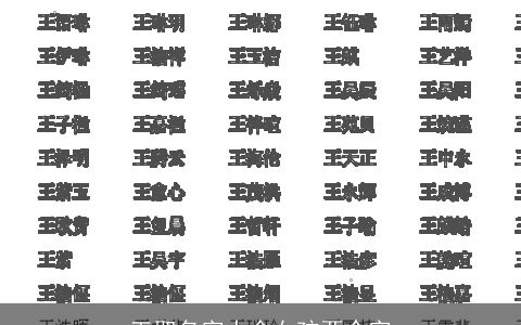 王取名字大全女孩两个字
