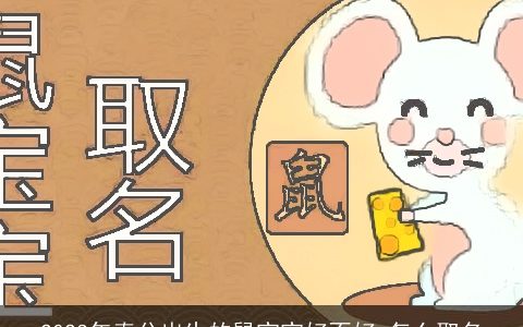 2024年春分出生的龙宝宝好不好 怎么取名