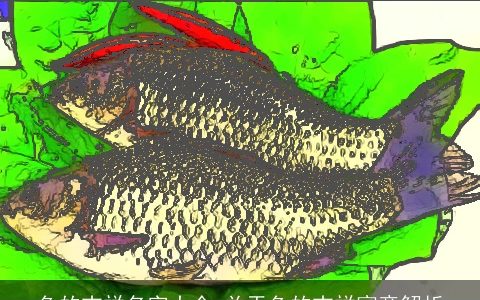 鱼的吉祥名字大全 关于鱼的吉祥寓意解析