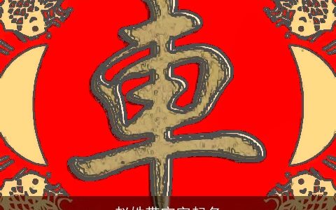 赵姓带宁字起名