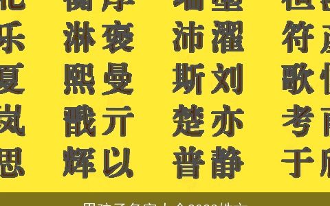 男孩子名字大全2023姓文