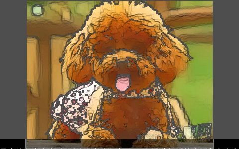 母泰迪名字大全 好听的母泰迪名字 2023有涵养好听的小孩名字大全