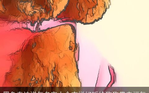 黑色泰迪洋气名字大全吉祥好听给狗狗带来福气