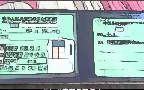 陈泽楷宝宝名字打分