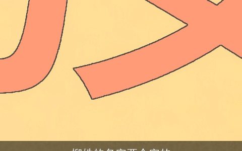 柳姓的名字两个字的