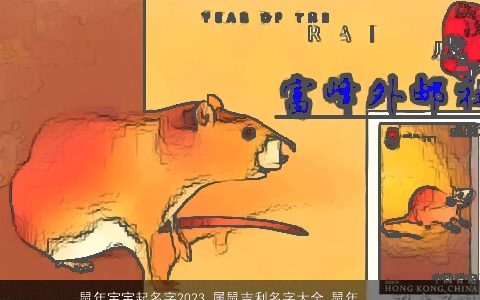 龙年宝宝起名字2024 属龙吉利名字大全_龙年起名大全_起名大全 鼠有涵养吉利的龙宝宝鼠鼠名字