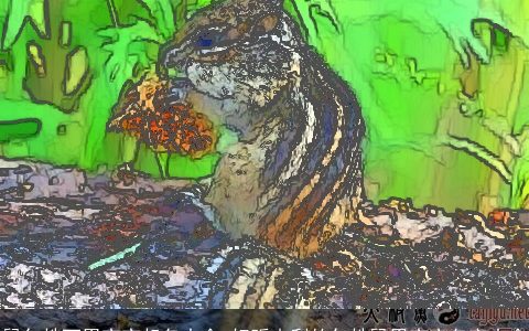 鼠年姓丁男宝宝起名大全 好听吉利的年姓鼠男宝宝名字大全