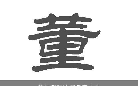 董姓双胞胎取名字大全