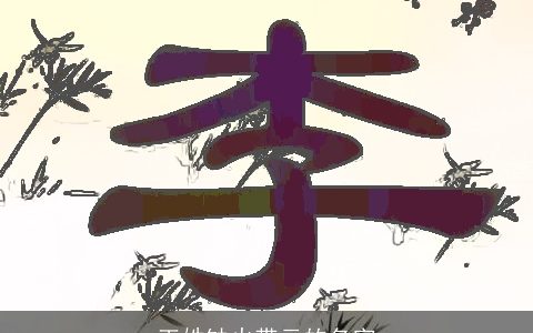 王姓缺火带云的名字