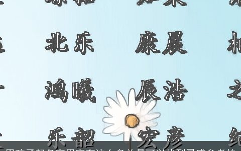 男孩子起名宜用字有这么多总是可以找到灵感参考的