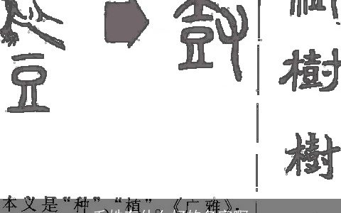 毛姓有什么好的名字啊