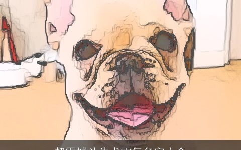 超震撼斗牛犬霸气名字大全