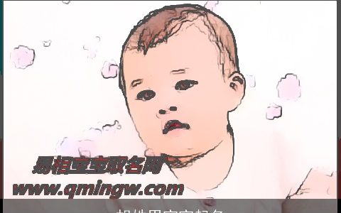 胡姓男宝宝起名