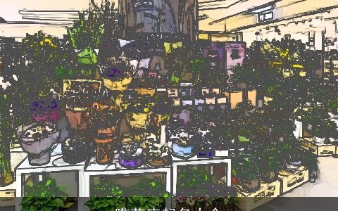 瞧花店起名大全