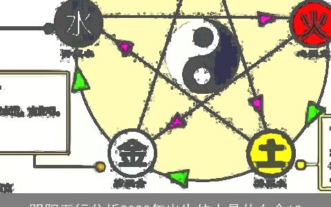 阴阳五行分析2023年出生的人是什么命13