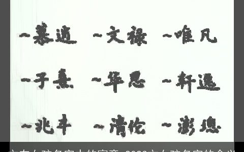 文在女孩名字中的寓意 2024文女孩名字的含义