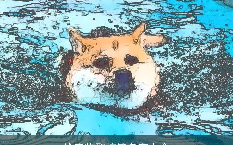 给宠物取搞笑名字大全