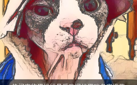 热门宠物猫排行最受欢迎的猫咪名字推荐