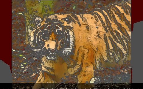 2023壬寅年10月18日出生的属虎女什么命今日出生打分高分的名字