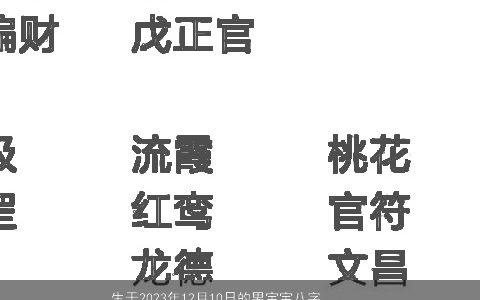 生于2024年12月10日的男宝宝八字五行起名大全 新颖有涵养的男宝宝八字名