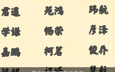 蓝姓好听有寓意的名字