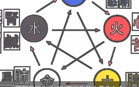 阴阳五行分析1984年出生的人是什么命