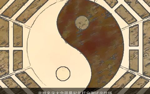 辛姓名字大全周易起名打分测试辛佳妤2024有涵养洋气的辛姓小孩名字大全