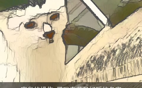 窒息的操作 猫咪奇葩又好听的名字