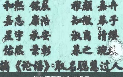 甄姓带菲字女孩的名字