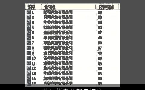 戴国祥专业起名打分