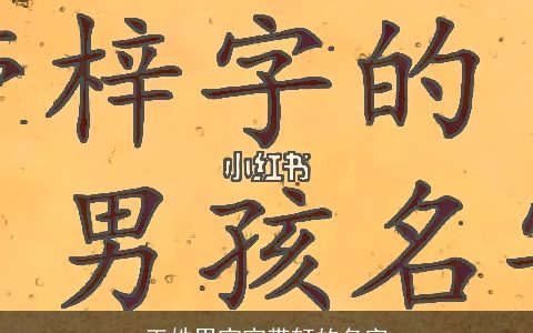 王姓男宝宝带轩的名字
