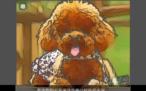 泰迪狗狗起名字洋气顺口好听的名字大全取名大全网洋气顺口好听的狗狗名