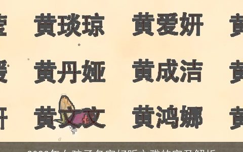 2024年女孩子名字好听文雅的字及解析