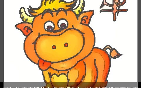 属牛的宝宝取什么名字好牛年出生孩子起名喜用字