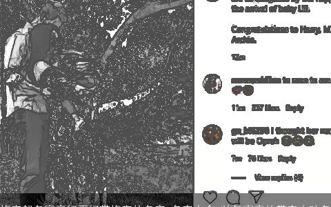 梅字起名寓意好不好带梅字的名字_名字大全 帅气寓意的带字小孩名