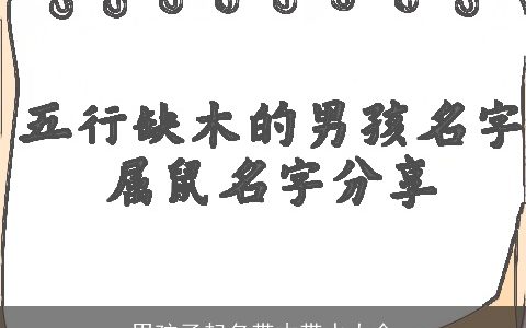 男孩子起名带木带水大全